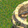 ~ Sanctuaire ~ 62/88